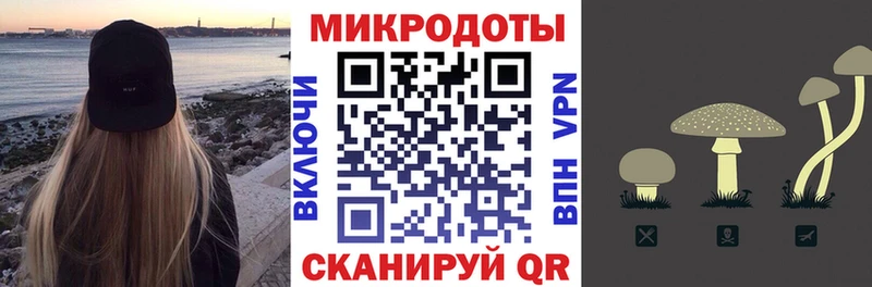 ссылка на мегу Рассказово Псилоцибиновые грибы прущие грибы
