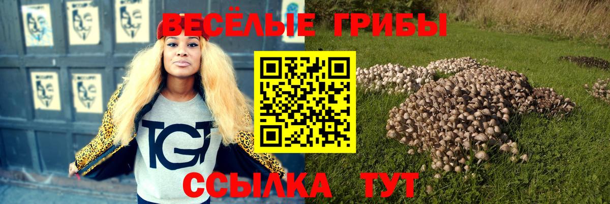 Псилоцибиновые грибы мицелий  Псилоцибиновые грибы MAGIC MUSHROOMS  Рассказово  Вход с VPN 